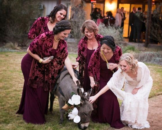 Surrender velvet shawl